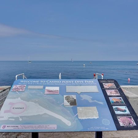 Catalina Island Duplex - Steps To Beach And Pier! Avalon Zewnętrze zdjęcie