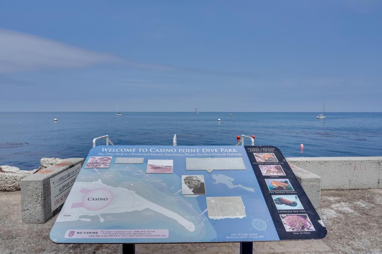 Catalina Island Duplex - Steps To Beach And Pier! Avalon Zewnętrze zdjęcie